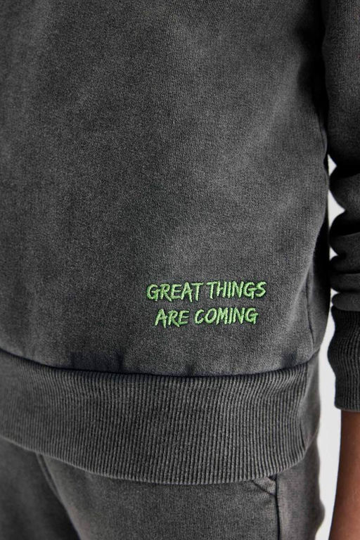 Свитшот оверсайз с круглым вырезом для мальчиков, потертый свитшот с принтом и эффектом потертостей - Defacto фото 8