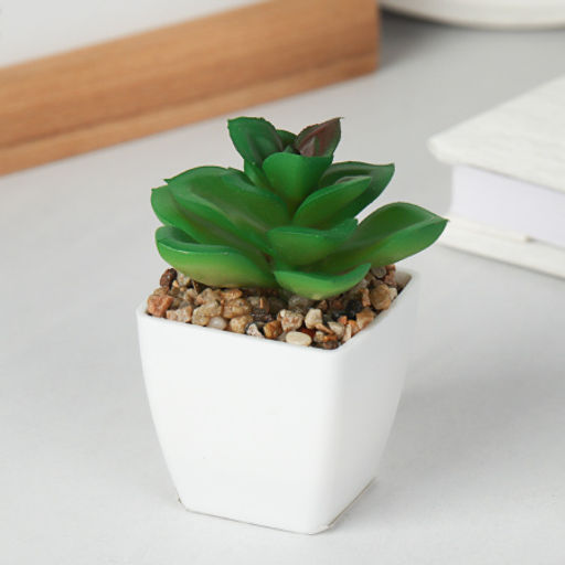 Цветочная композиция Кактус / WER-19 /уп 12/192/ микс - Галеонтрейд фото 20