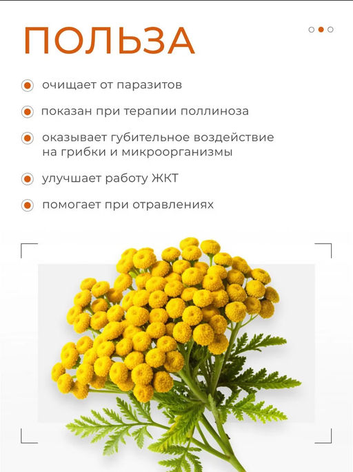 Антипаразитный комплекс очищение противопаразитарный 60 капс - NUTRIHEAL фото 2