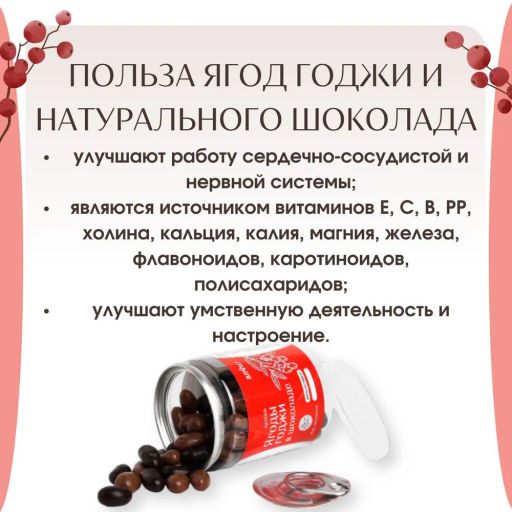 Драже Ягоды годжи в шоколаде 100 г Алфит 6936 фото 8