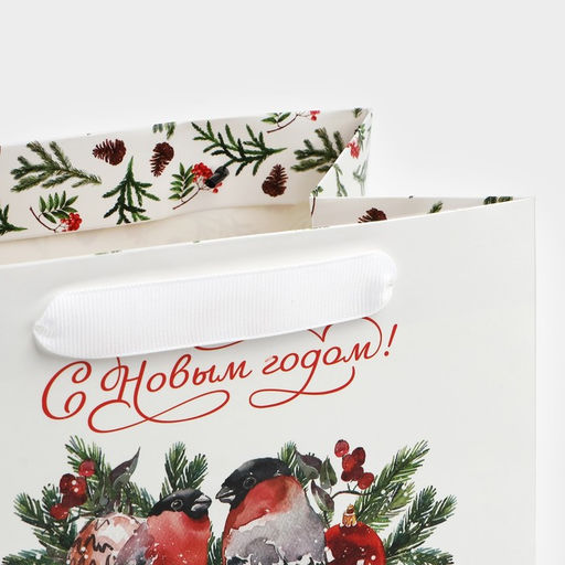 Пакет подарочный с широким дном Снегири, 20 14 13.2 см - Дарите счастье фото 13