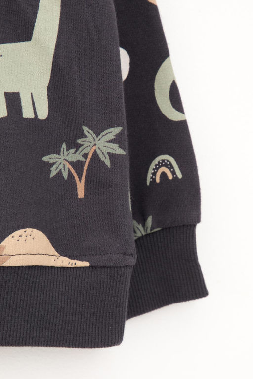 КР 302157/графит,динозавры к400 джемпер д/мал яс