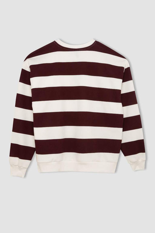 Повседневный свитшот из плотной ткани в полоску с круглым вырезом Relax Fit - Defacto фото 3