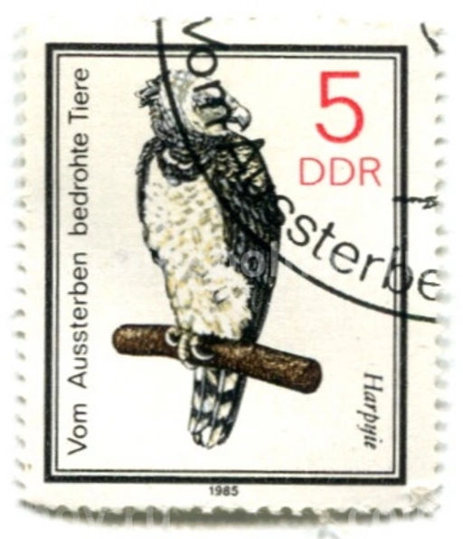 Марка Южноамериканская гарпия 1985 год Германия