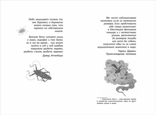 Фабр. Книга 3. Битва жуков - Робинс фото 6