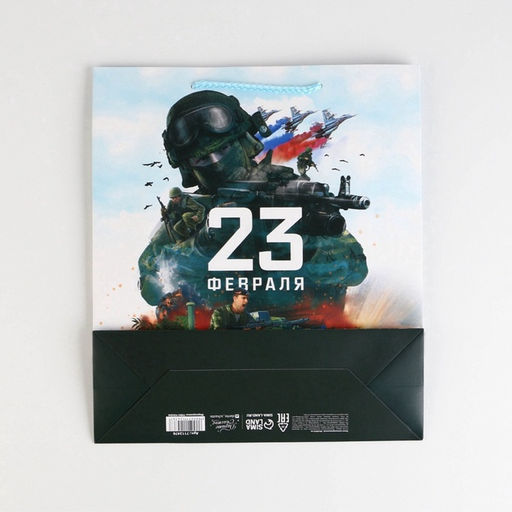 Цена за 2 шт. Пакет подарочный ламинированный, упаковка, С 23 февраля, M 26?30?9 см