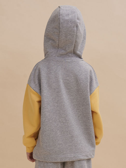 PELICAN, толстовка для мальчиков, Серый  фото 3