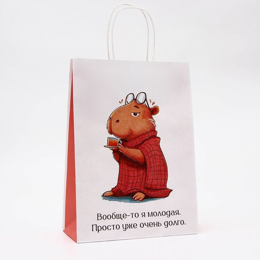 Цена за 10 шт. Пакет подарочный бумажный, Молодая, 24?10.5?32 см