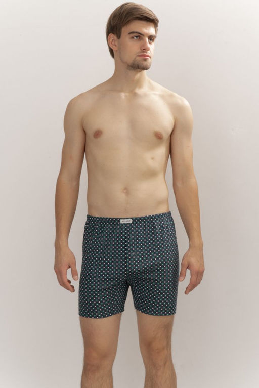 ТРУСЫ МУЖСКИЕ арт. 1911M-40894.1L-064 - Almando melado фото 2