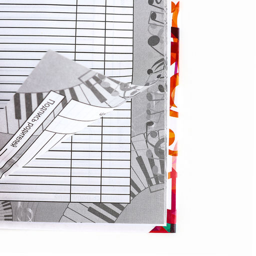 Дневник для музыкальной школы твердая обложка 40 л. «Разноцветные ноты»