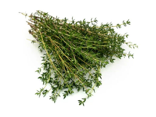 Тимьян Радужный - Партнер фото 2