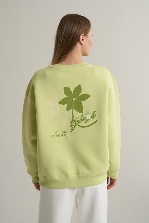 Свитшот Светло-зеленый ANTA SKATE Sweatshirt фото 6