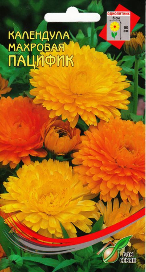 Календула Пацифик