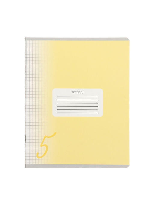 Комплект тетрадей из 10 штук, 24 листа в клетку Calligrata "Пятёрка", обложка мелованный картон, ВД-лак, блок офсет, 5 видов по 2 штуки