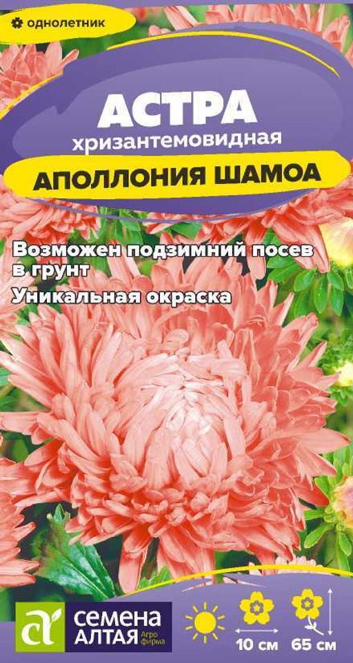 Цветы Астра Аполлония Шамоа/Сем Алт/цп 0,2 гр.