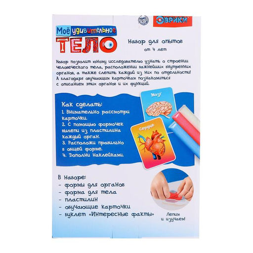 Набор для опытов Моё удивительное тело - Эврики фото 5