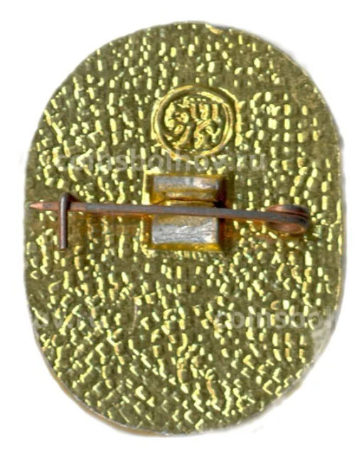 Значок выставка СтройДормаш 88 год