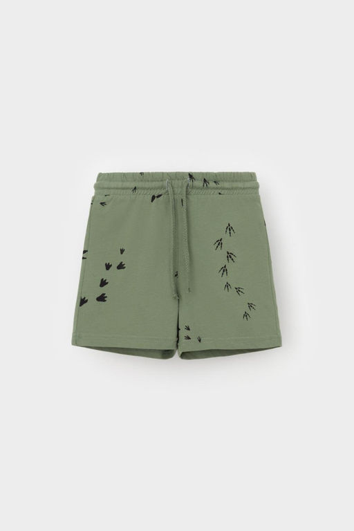 Crockid _ КР 400666/папоротник,следы динозавра к538 шорты д/мал яс  фото 5