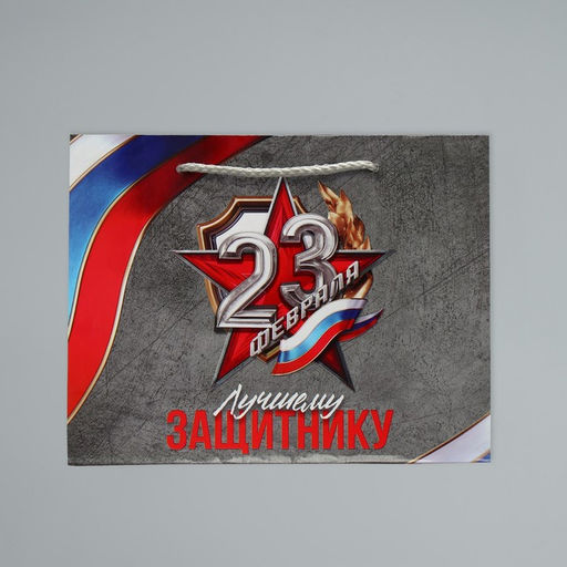 Цена за 2 шт. Пакет подарочный ламинированный, упаковка, С 23 февраля, MS 23?18?8 см