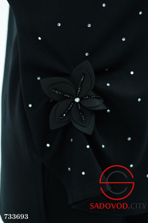 Женский брючный костюм двойка