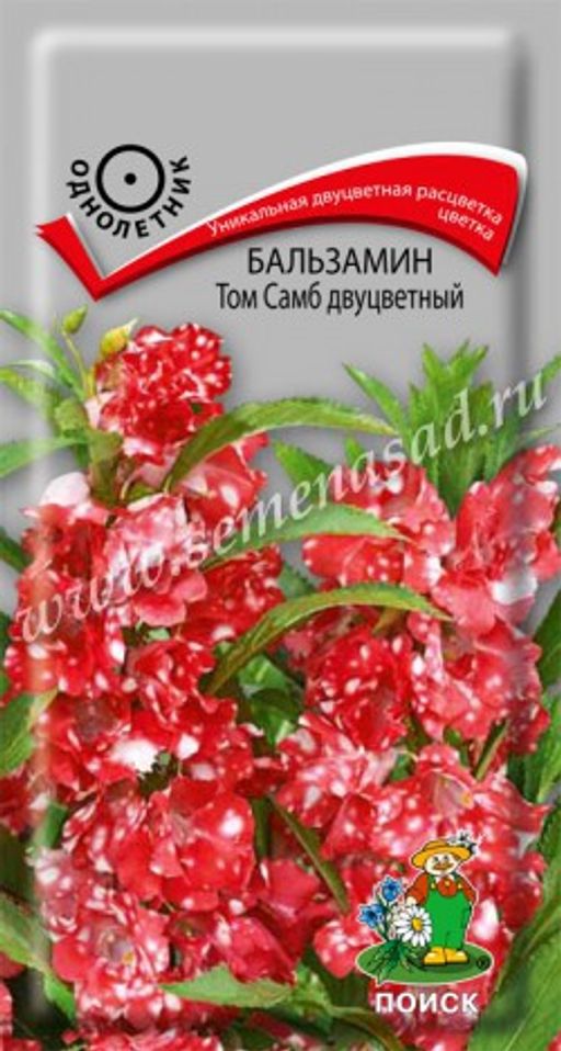 Бальзамин Том Самб двуцветный ( ЦВ) ("1) 0,1гр.