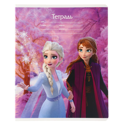 Цена за 19 шт. Тетрадь в клетку 18 листов, 5 видов МИКС, обложка мелованный картон, «Холодное сердце»