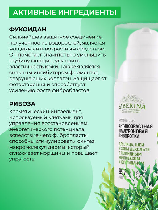 Натуральная антивозрастная гиалуроновая сыворотка с пептидным комплексом и фукоиданом для лица, шеи и зоны декольте - Siberina фото 4