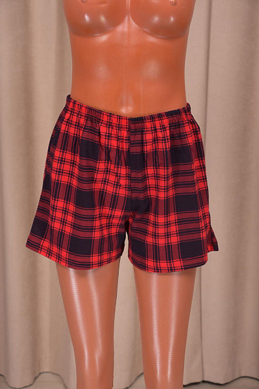 Шорты трикотажные (00754, вариант 89) - Плиона фото 2