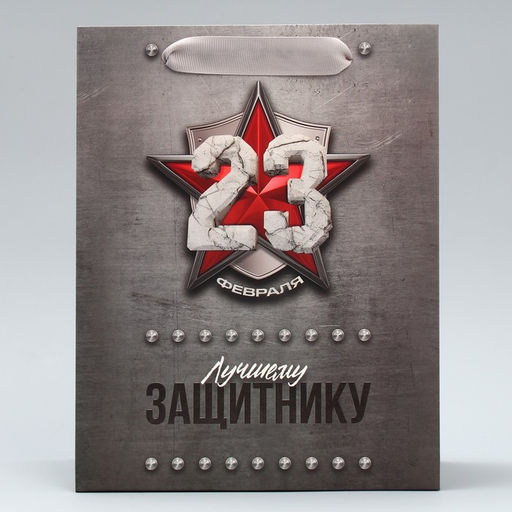 Цена за 2 шт. Пакет подарочный ламинированный, упаковка, «С 23 февраля», ML 23×27×11.5 см