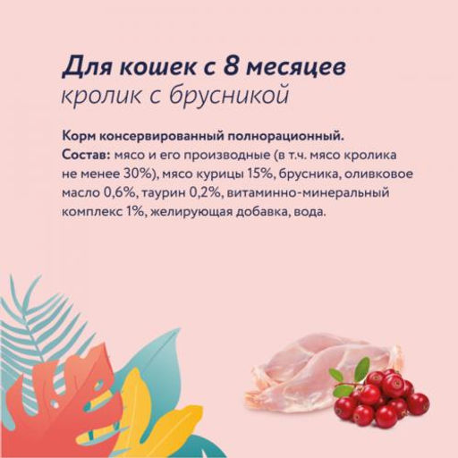 Упаковка 12 штук Корм консервированный полнорационный для взрослых кошек из кролика с брусникой 22ел16 - Florida фото 3