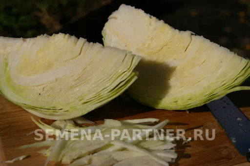 Капуста белокочанная позднеспелая Престиж - Партнер фото 7