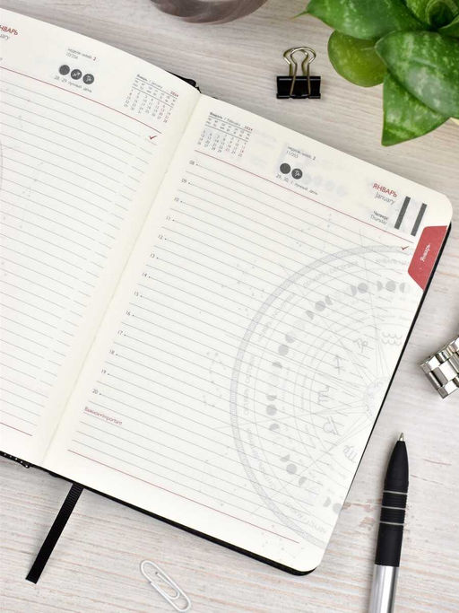 Ежедневник датированный 2024 ESCALADA, АСТРОЛОГИЧЕСКИЙ, А6+, 200 л., арт. 64243/ 20 ПЛОНЖЕ ЭКСТРА МЕТТАЛИК ЧЁРНЫЙ  фото 21