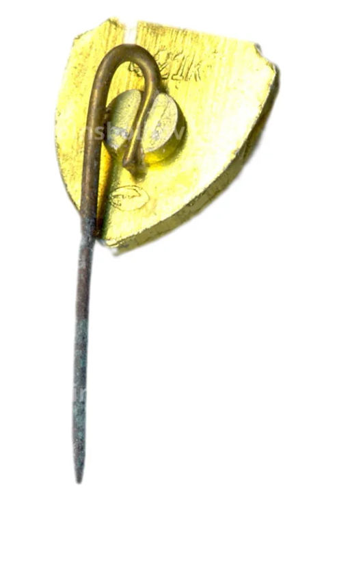 Значок Каунас