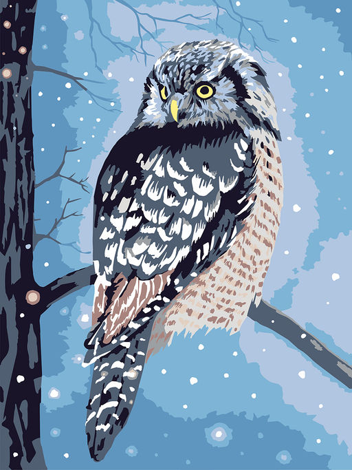 ФРЕЯ PKZ/PM-091 Набор для раскрашивания по номерам (на картоне) 40 х 30 см Сова в сумерках