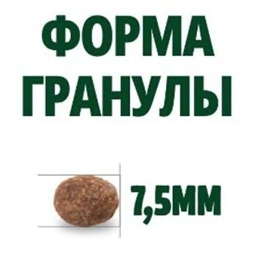 Скидка -12% Гуаби Натурал сухой корм для котят цыпленок и коричневый рис 1.5кг - Guabi natural фото 4