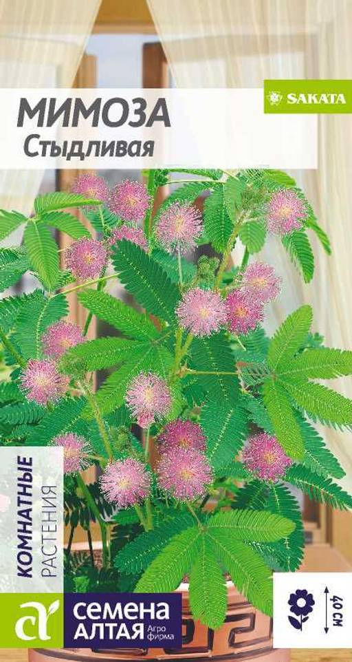Мимоза Стыдливая/Сем Алт/цп 0,2 гр.