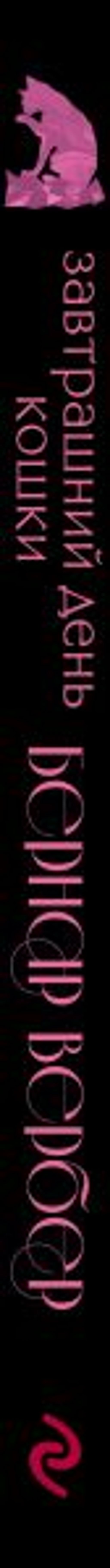 Завтрашний день кошки