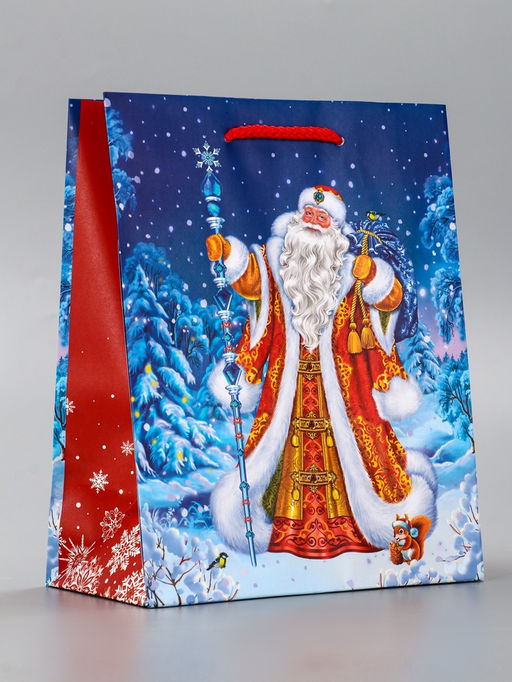 Цена за 2 шт. Пакет подарочный новогодний ламинированный, «Новогодний набор », 18×10×22.3 см