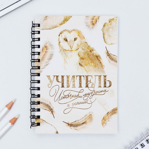 Подарочный набор, блокнот А6, 60 л., магнитные закладки, ручка «Учитель»