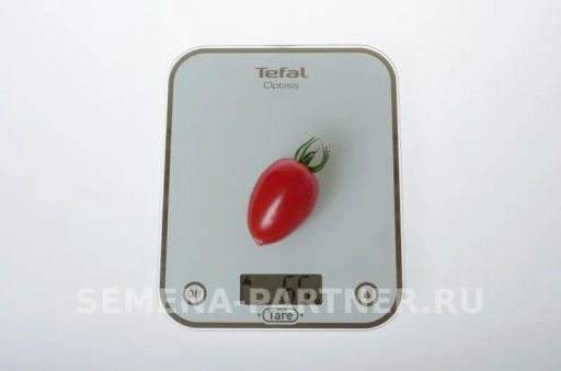 Томат Фифа - Партнер фото 3