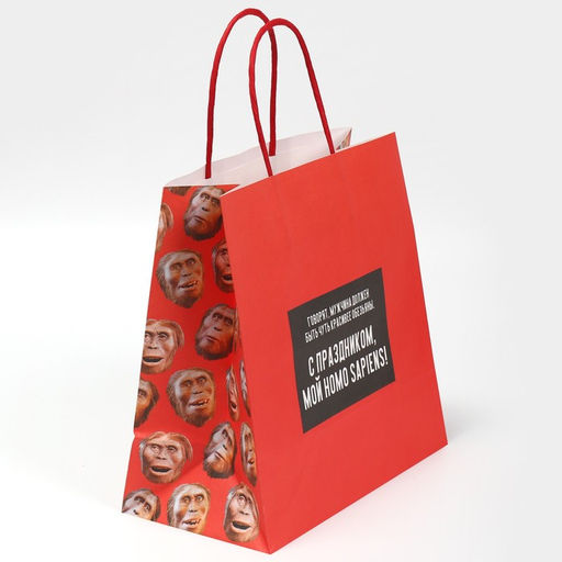 Цена за 2 шт. Пакет подарочный, упаковка, Обезьяна, 22?22?11 см