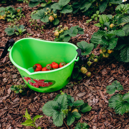 Цена за 2 шт. Ёмкость для сбора ягод, 3 л, «Малина»