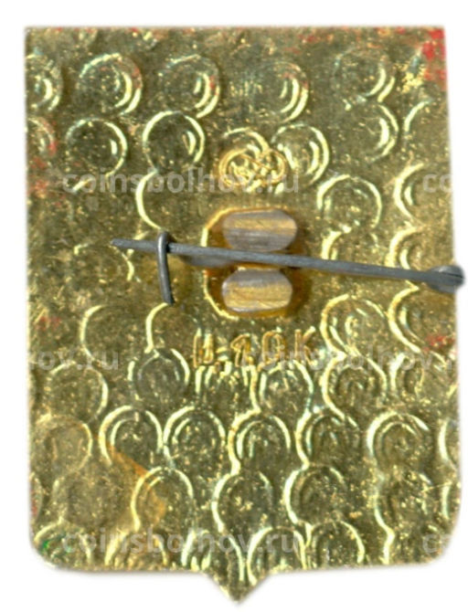 Значок Судогда