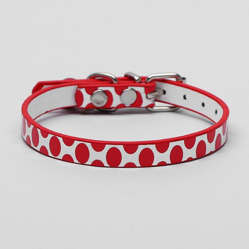 Ошейник Страсть, 30 х 1 см, микс цветов - Пижон фото 2