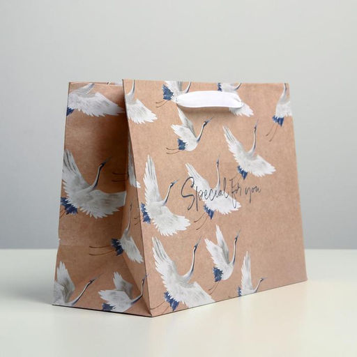 Пакет подарочный крафтовый, упаковка, «Special for you», MS 23 х 18 х 10 см