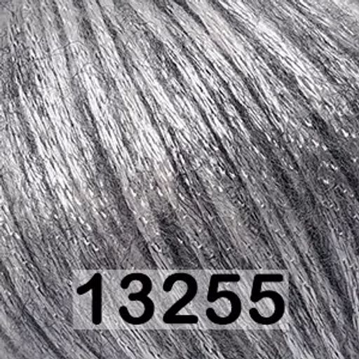 Пряжа ROCK N ROLL GAZZAL  фото 16