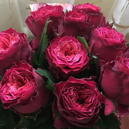 R120 ВУВУЗЕЛА МЕДЖИК