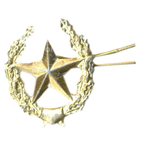 Значок эмблема петличная Звезда