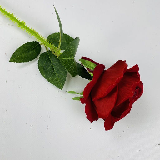 Роза бархат с шипами 65см, бутон 10x10см