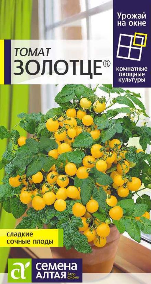 Томат Золотце/Сем Алт/цп 0,05 гр. УРОЖАЙ НА ОКНЕ!